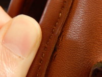 DSCN5786.JPG