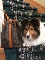 ImageUploadedByPurseForum1445725705.236743.jpg