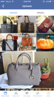 ImageUploadedByPurseForum1445726187.403828.jpg