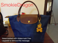 ImageUploadedByPurseForum1445742969.073331.jpg