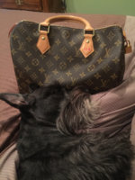 ImageUploadedByPurseForum1445801465.148706.jpg