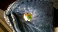 WP_20151027_009.jpg