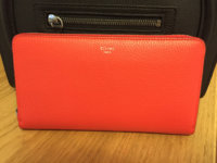 ImageUploadedByPurseForum1446131244.840927.jpg