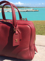 ImageUploadedByPurseForum1446148780.382659.jpg