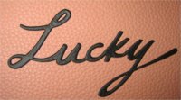 luckydino6.jpg