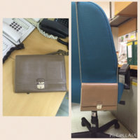 ImageUploadedByPurseForum1446453416.785797.jpg