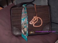 Crinoline_Victoria_Document_Bag.jpg