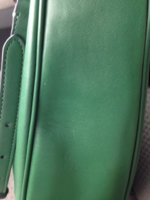 ImageUploadedByPurseForum1446839294.830152.jpg