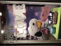 IMG_5082.JPG