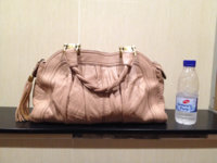 ImageUploadedByPurseForum1446992835.356293.jpg