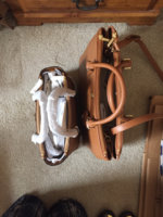 ImageUploadedByPurseForum1446999807.276240.jpg