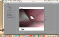 Screen Shot 2015-11-11 at 12.32.06 AM.png