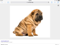 ImageUploadedByPurseForum1447262765.564044.jpg