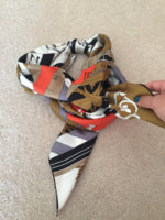 ImageUploadedByPurseForum1447373497.017202.jpg