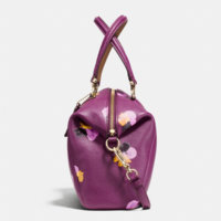 ImageUploadedByPurseForum1447558242.146060.jpg