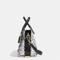 ImageUploadedByPurseForum1447562826.975541.jpg