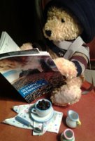 Bear pretending to be Kurt Cobain(1).jpg