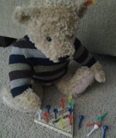 Bear with peg game(1).jpg