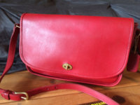 ImageUploadedByPurseForum1447701175.970323.jpg