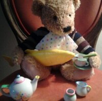 Feeding tea to plastic fish(1).jpg