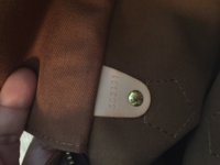 IMG_3937.jpeg