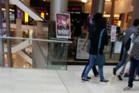 SpyPhoto_20151108_141136918-1-1.jpg