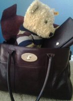 Bear rummaging.jpg