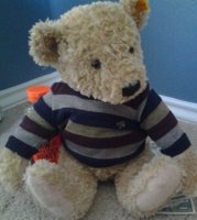 Bear hides goodies.jpg