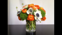 ImageUploadedByPurseForum1448047204.604840.jpg
