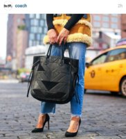Coach Handbag.jpg