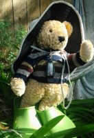 Bear as wilderness explorer(2).jpg