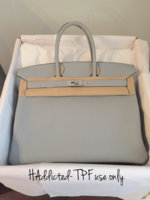 ImageUploadedByPurseForum1448145135.283407.jpg