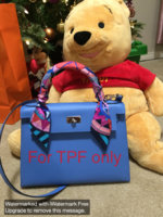 ImageUploadedByPurseForum1448159926.033107.jpg