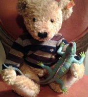 Bear & lizard(1).jpg