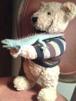 Bear making lizard wave(1).jpg