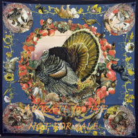 H Turkey scarf TPF.jpg