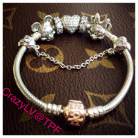ImageUploadedByPurseForum1448318426.542390.jpg