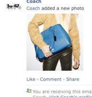 ImageUploadedByPurseForum1448424754.443020.jpg