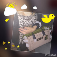 ImageUploadedByPurseForum1449009973.827723.jpg