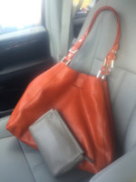 ImageUploadedByPurseForum1449071592.792924.jpg