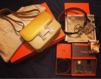 ImageUploadedByPurseForum1449082647.623133.jpg