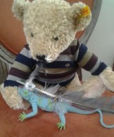 Bear costumes lizard(1).jpg