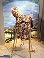 IMG_2224.JPG