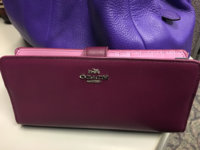 ImageUploadedByPurseForum1449520711.853614.jpg