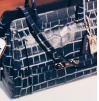 New Satchel 2016.PNG