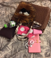 ImageUploadedByPurseForum1449563955.865460.jpg