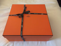ImageUploadedByPurseForum1449571542.066447.jpg