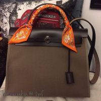 ImageUploadedByPurseForum1449641887.623120.jpg