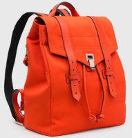 ps1nylonbackpack-2.jpg