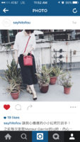 ImageUploadedByPurseForum1449690828.822631.jpg